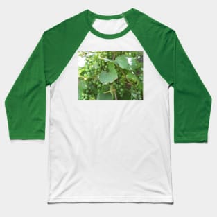 Green Grapes Baseball T-Shirt